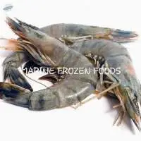 Tiger Shrimp