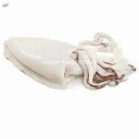 Cuttlefish