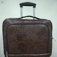 Travelling Bag
