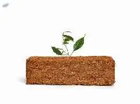 Coconut Peat