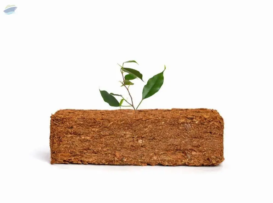 Coconut Peat