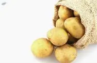 Potato