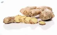 Fresh Ginger