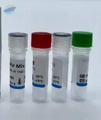 RT-PCR Detection kit (Real time RT-PCR kit)