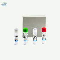 Real Time RT-PCR Detection Test