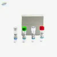 Real Time RT-PCR Detection Test