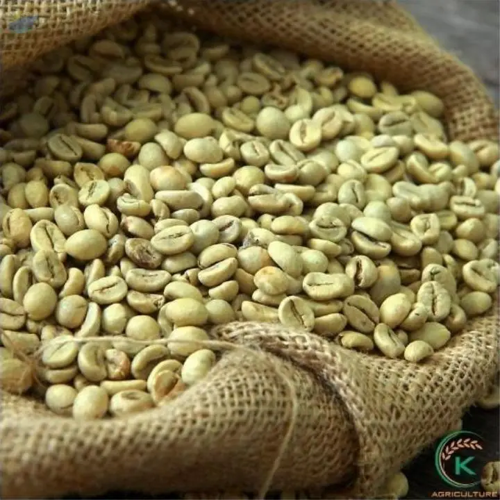 Premium Coffee Vietnam S16-18 Cafe Arabica