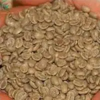 Coffee Product S16 Vietnam Robusta Coffee