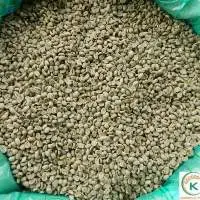 High Quality Coffee Arabica Coffee Beans