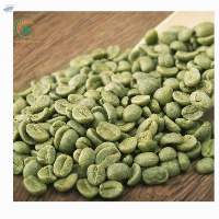 Coffee Export Robusta Vietnam