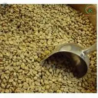 Best Selling Coffee Arabica Coffee Beans