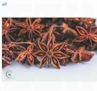Spring Crop Star Anise Vietnam K Agriculture