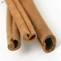 Hot Sale High Quality Cinnamon Sticks Vietnam