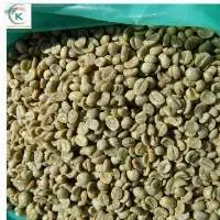 Specialty Arabica Quang Tri Coffee Green Beans