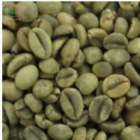 Arabica Lac Duong Coffee Green Beans
