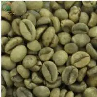 Arabica Lac Duong Coffee Green Beans