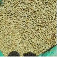 Arabica Honey Coffee Green Beans Coffee Vietnam