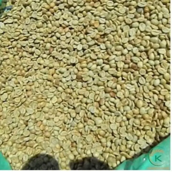 Arabica Honey Coffee Green Beans Coffee Vietnam