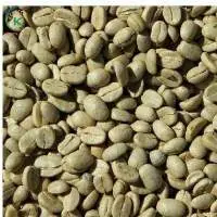 Coffee Green Beans Specialty Arabica Coffee