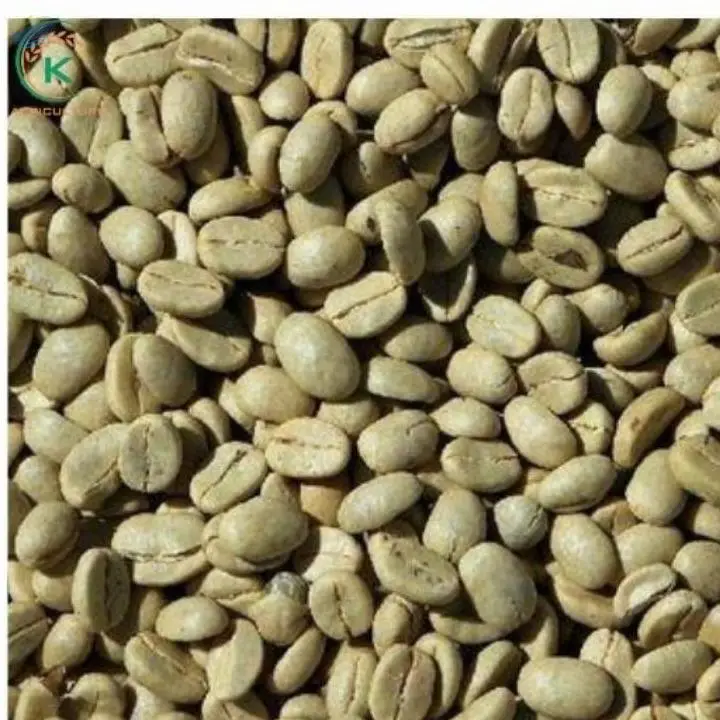 Coffee Green Beans Specialty Arabica Coffee