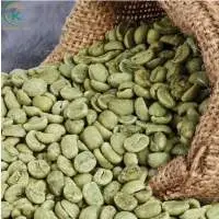 High Quality Coffee Robusta Green Beans Coffee