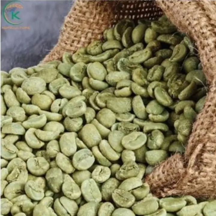 High Quality Coffee Robusta Green Beans Coffee