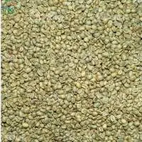 Arabica Coffee Green Beans 