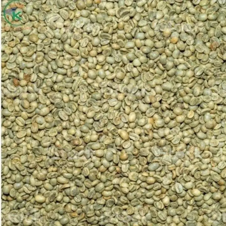 Arabica Coffee Green Beans 
