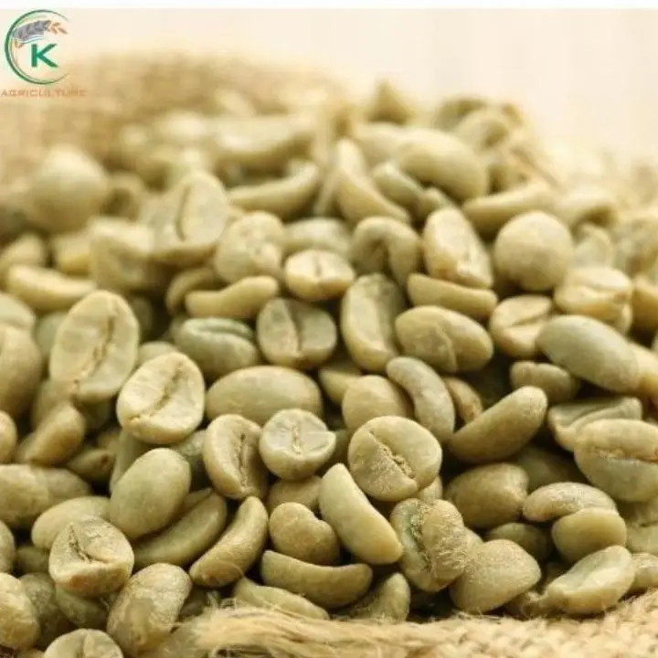 Arabica Honey Coffee Green Beans Coffee Vietnam