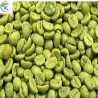 Coffee Robusta Green Beans Coffee K-Agriculture