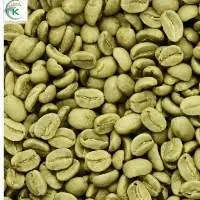Coffee Arabica Green Beans Vietnam Supplier