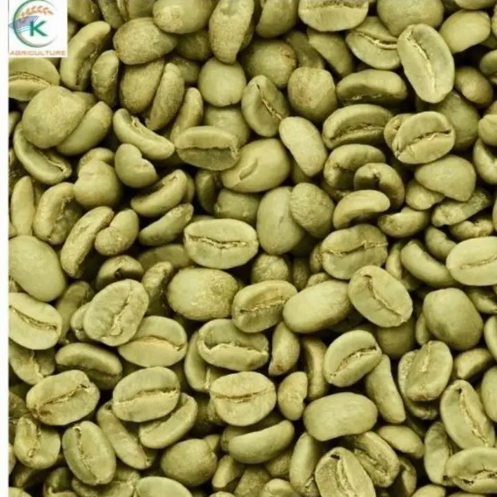 Coffee Arabica Green Beans Vietnam Supplier