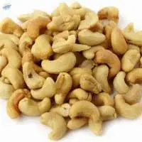 High Quality Cashew Nuts W450 Vietnam