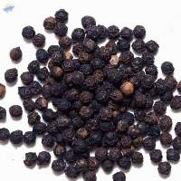 Vietnam Black Pepper Exporters
