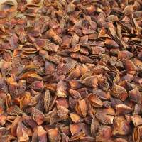 Star Anise 2021 For Importers