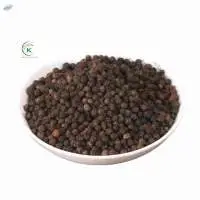 Best Price High Quality Black Pepper