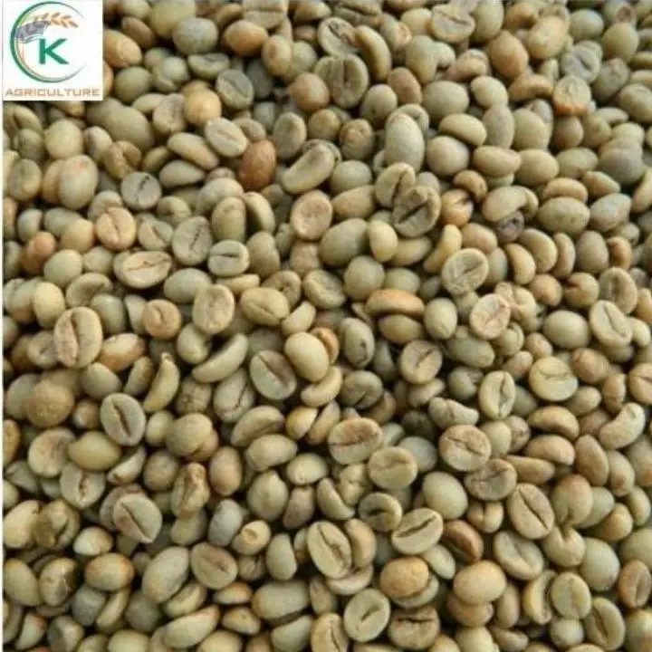 Coffee Arabica Coffee Green Beans