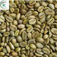 High Quality Green Coffee Arabica Coffee Beans