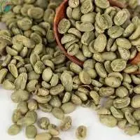 Coffee Specialty Arabica Green Beans