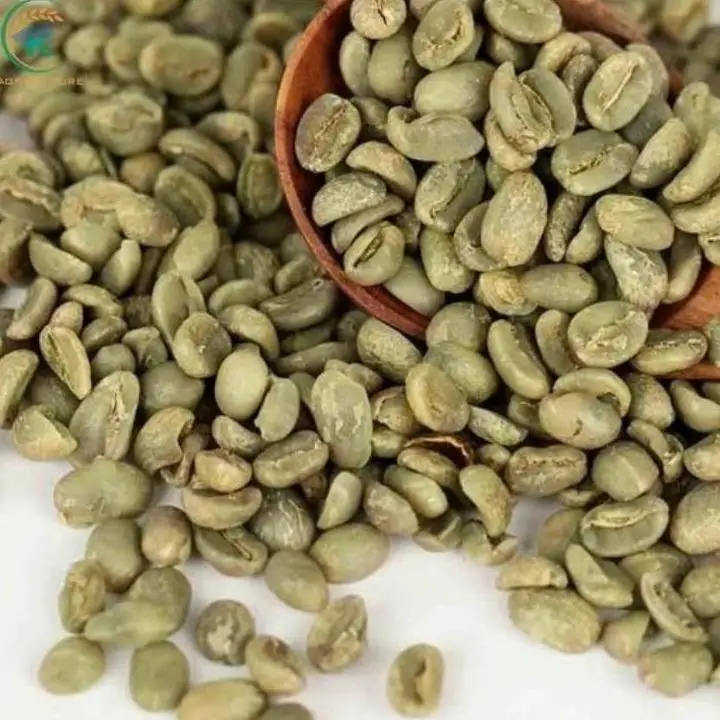 Coffee Specialty Arabica Green Beans