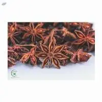 Premium Quality Star Anise Wholesale