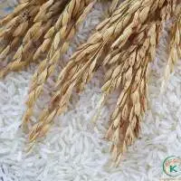 Organic ST25 Rice Great Taste