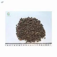 Black Pepper 550g/l Vietnam