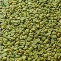 Arabica Lam Dong Commercial Green Coffee S18