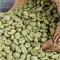 Coffee Beans Vietnam Coffee Arabica Green Beans