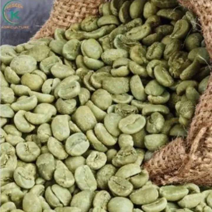 Arabica Lam Dong Commercial Coffee Imported