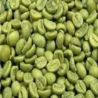 Arabica Honey Coffee Green Beans Coffee Vietnam