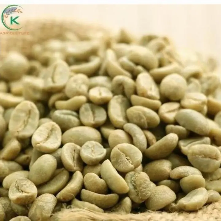 High Quality Coffee Robusta Green Beans Coffee