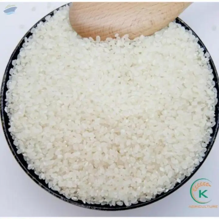 Vietnam Specialty Rice IR504 Newest Crop
