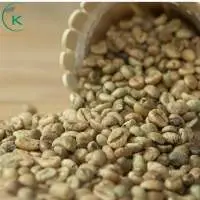 Best Price Coffee Robusta Green Coffee S16-18